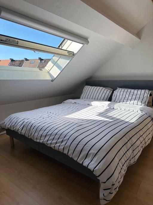 Large Quiet Whole House Near Historic Gent Centre Villa Buitenkant foto