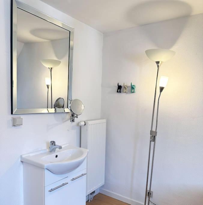 Large Quiet Whole House Near Historic Gent Centre Villa Buitenkant foto